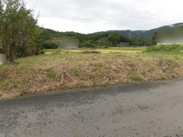 現地土地写真(2018年9月) 現地土地写真(2018年9月)