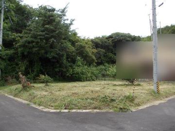 現地土地写真(2015年6月) 現地土地写真(2015年6月)