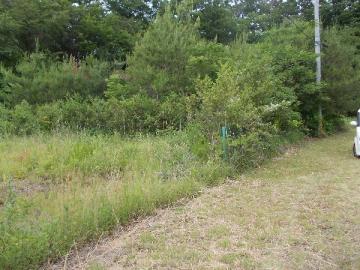 現地土地写真(2015年6月) 現地土地写真(2015年6月)