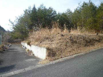 現地土地写真 現地土地写真