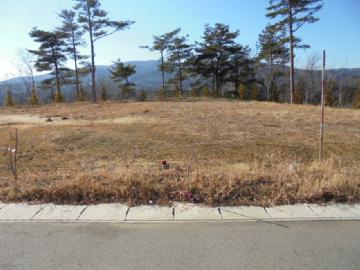 現地土地写真(2017年1月) 現地土地写真(2017年1月)