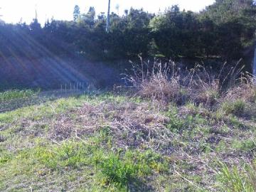 現地土地写真(2010年5月) 現地土地写真(2010年5月)