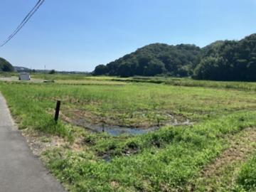 現地土地写真(2025年9月)