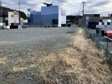 現地土地写真(2025年11月)