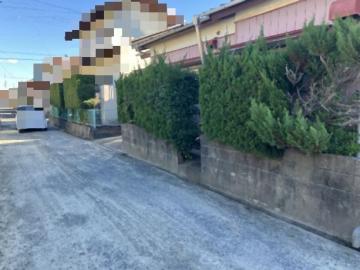 前面道路含む現地写真(2025年11月)