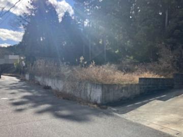 現地土地写真(2026年1月)