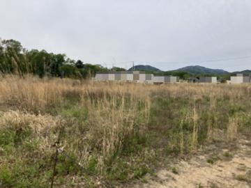 現地土地写真(2026年4月)