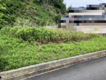 現地土地写真(2026年6月)