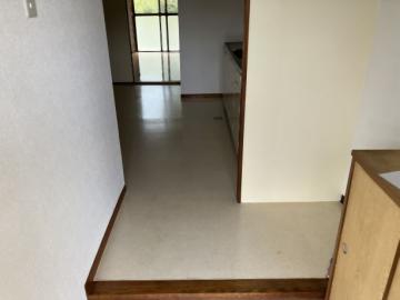 玄関/113号室(2025年10月) 玄関/113号室(2025年10月)