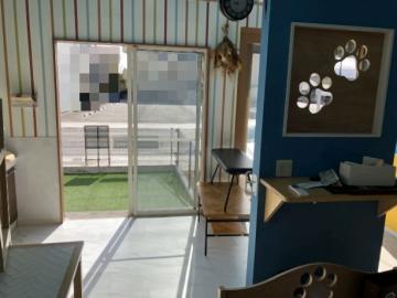 その他内観(2026年2月)