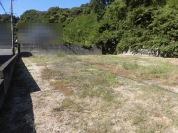 現地土地写真(2023年10月)