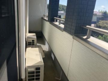 バルコニー(2025年10月)