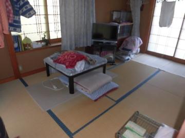 居室(2025年5月)