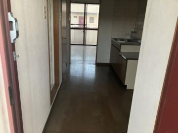 玄関(2025年11月)