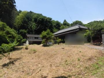 庭(2025年6月) 庭(2025年6月)