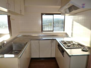 キッチン(2025年11月)