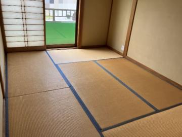 居室(2026年5月)
