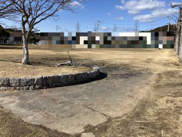 その他画像(2026年3月)