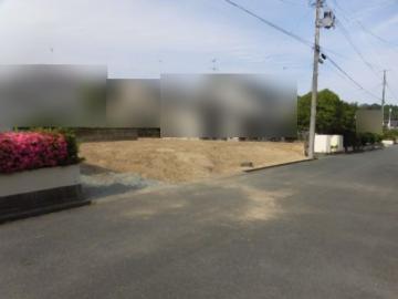 現地土地写真(2025年6月)