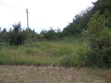 現地土地写真(2015年6月) 現地土地写真(2015年6月)