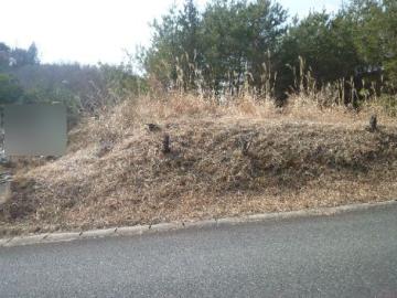 現地土地写真 現地土地写真