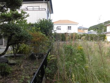 現地土地写真(2019年10月)