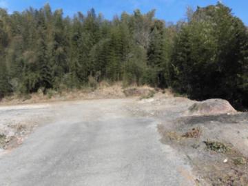 前面道路含む現地写真(2023年2月)