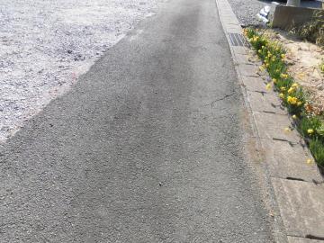 前面道路含む現地写真(2023年4月)