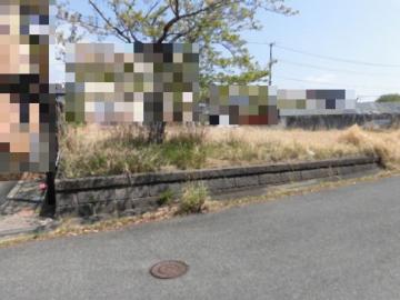現地土地写真(2025年4月)