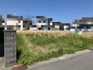 現地土地写真(2025年5月)