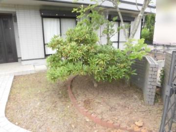 庭(2025年6月) 庭(2025年6月)