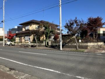 現地土地写真(2025年11月)