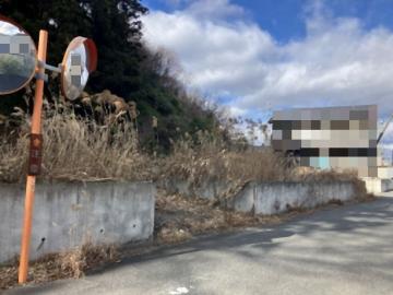 現地土地写真(2026年1月)