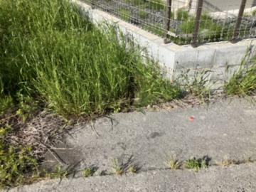 現地土地写真(2026年5月)