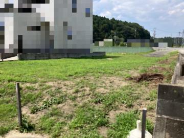 現地土地写真(2026年7月)