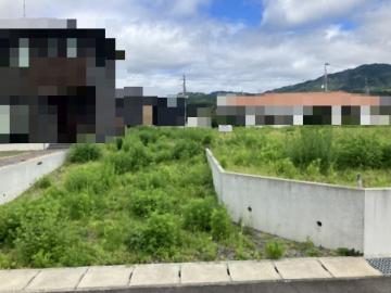 現地土地写真(2026年8月)