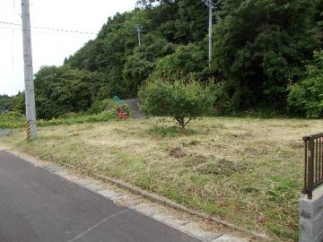 現地土地写真(2015年6月)