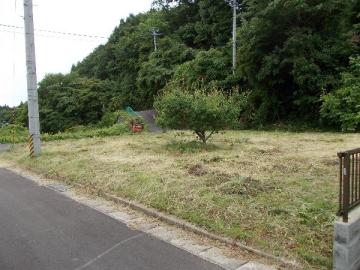 現地土地写真(2015年6月) 現地土地写真(2015年6月)