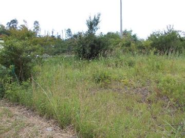 現地土地写真(2015年6月) 現地土地写真(2015年6月)