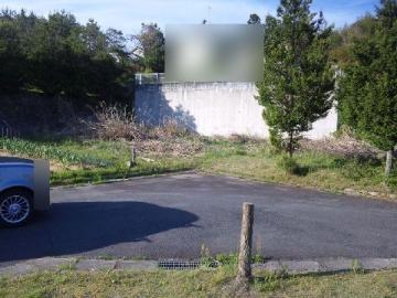 現地土地写真(2010年5月) 現地土地写真(2010年5月)