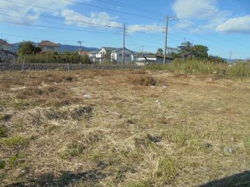 現地土地写真(2019年11月)