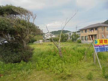 現地土地写真(2022年8月)