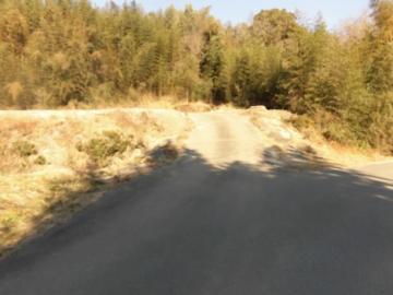 前面道路含む現地写真(2023年2月)