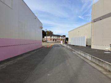 前面道路含む現地写真(2025年1月)