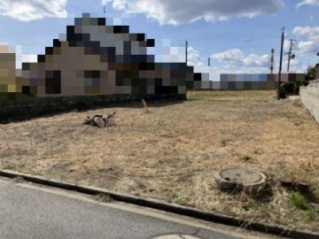 現地土地写真(2025年3月)