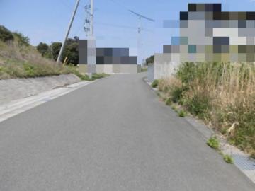 前面道路含む現地写真(2025年4月)