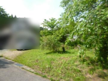 現地土地写真(2025年5月)