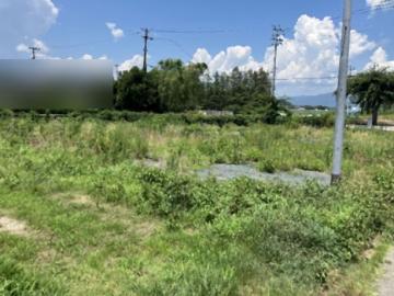 現地土地写真(2025年7月)