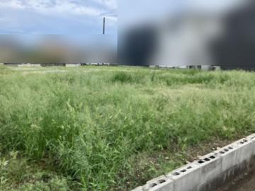 現地土地写真(2025年8月)