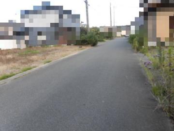 前面道路含む現地写真(2025年7月)